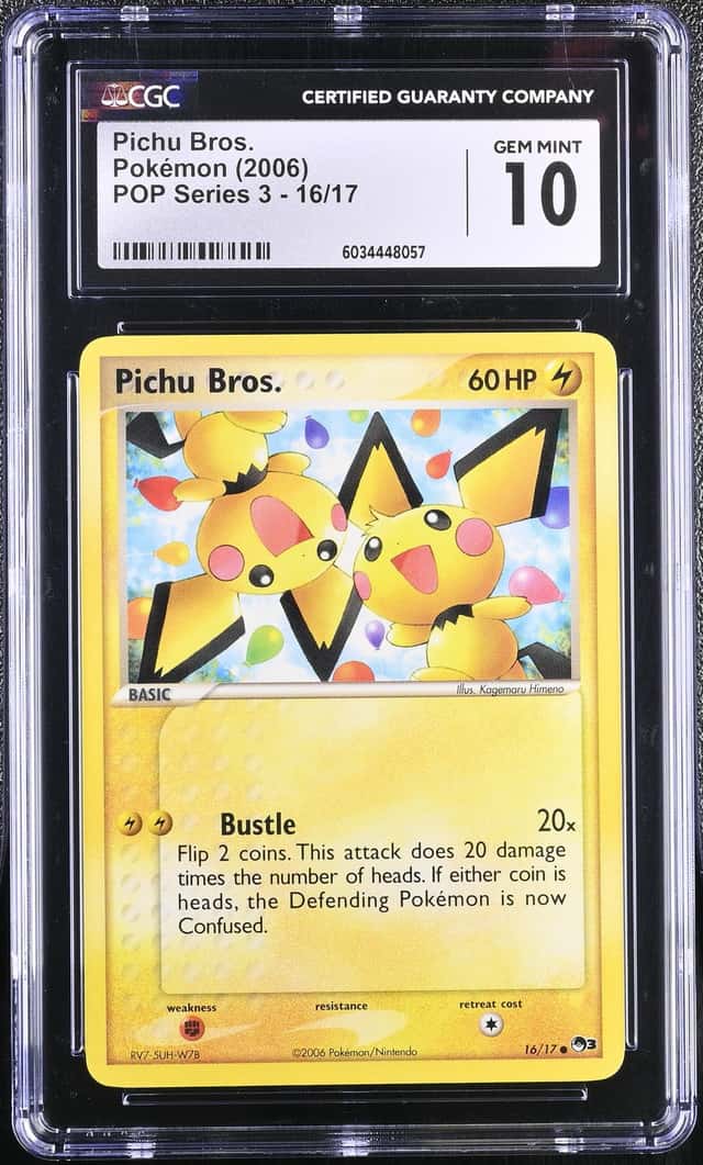 Pichu Bros