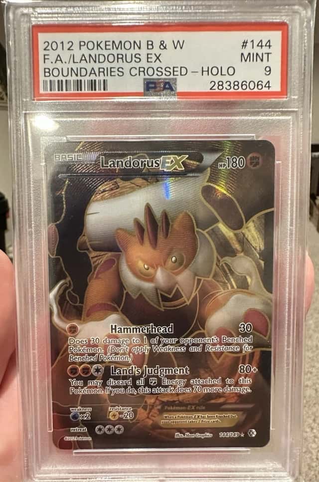 Landorus EX