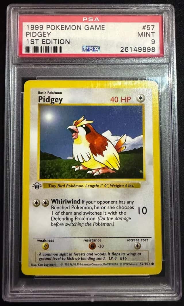 Pidgey