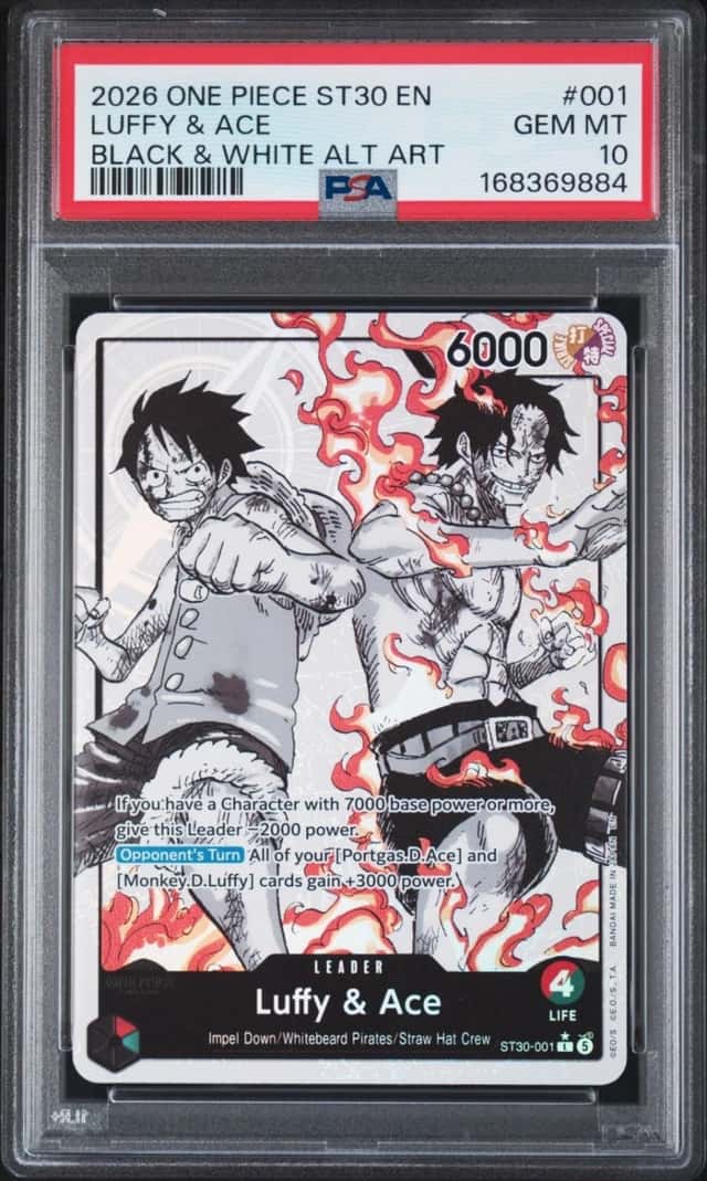 Luffy & Ace