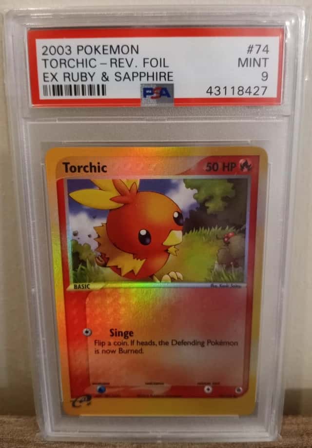 Torchic