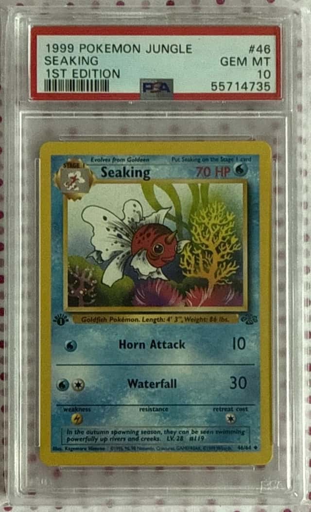 Seaking