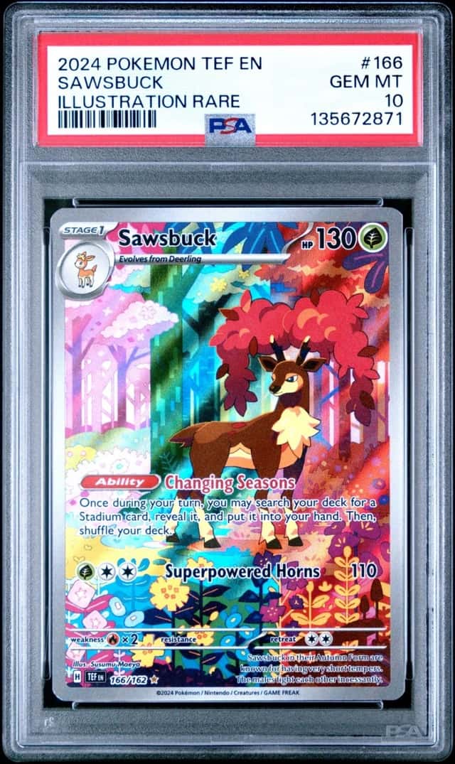 Sawsbuck