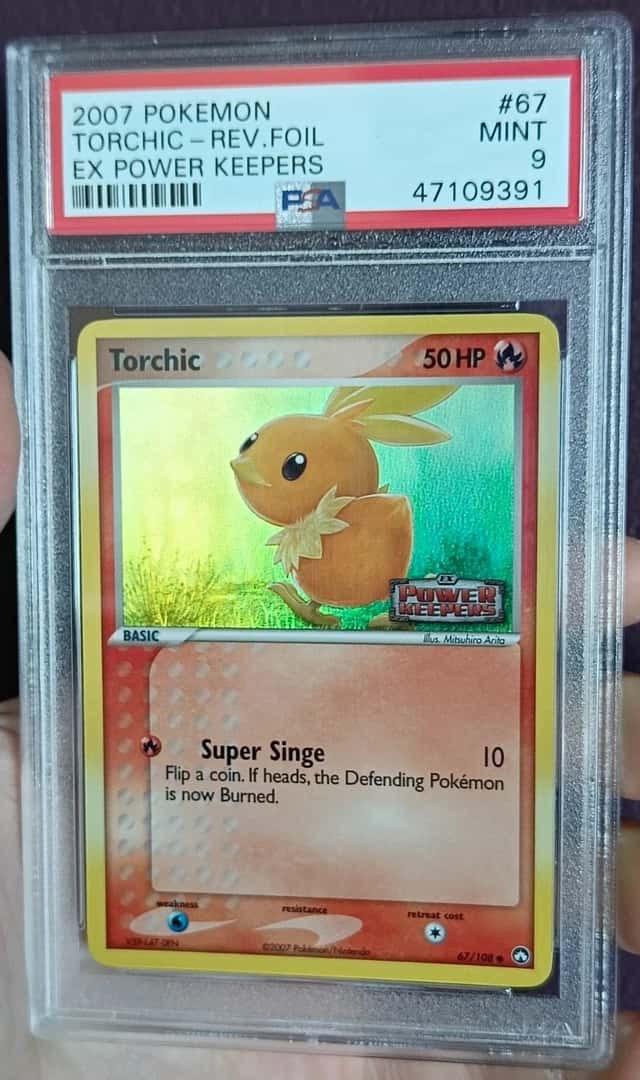 Torchic