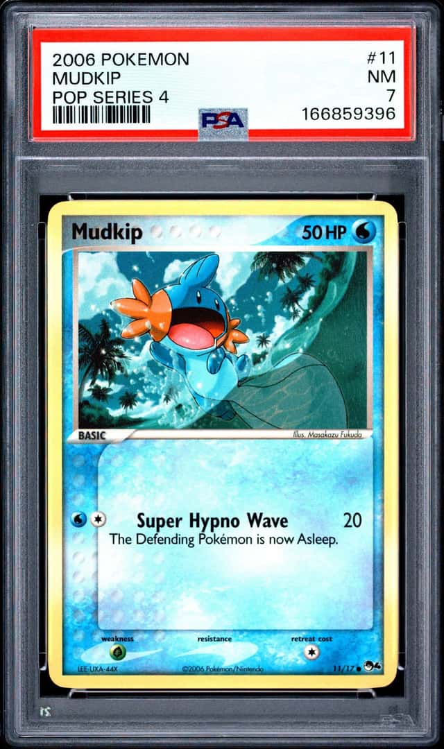 Mudkip