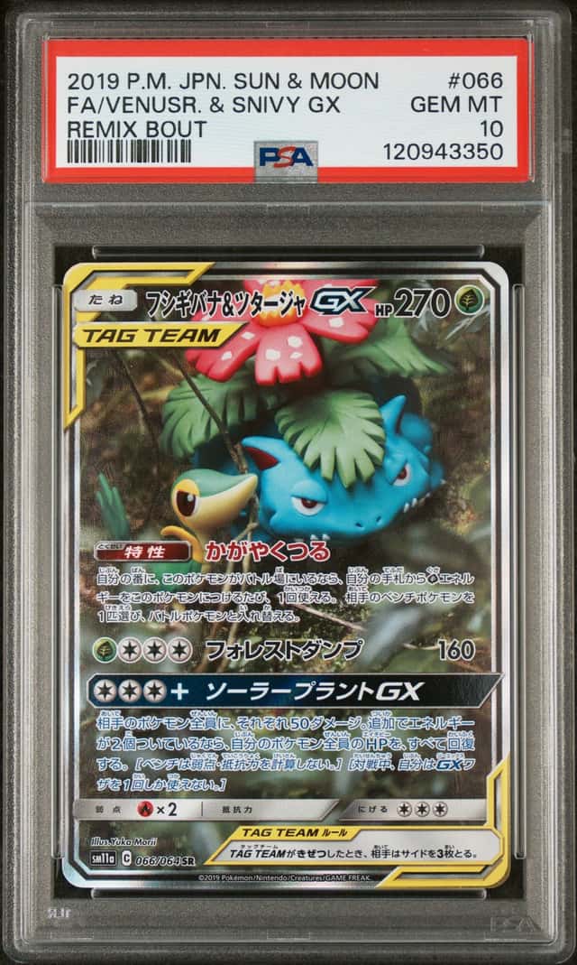 Venusaur & Snivy GX