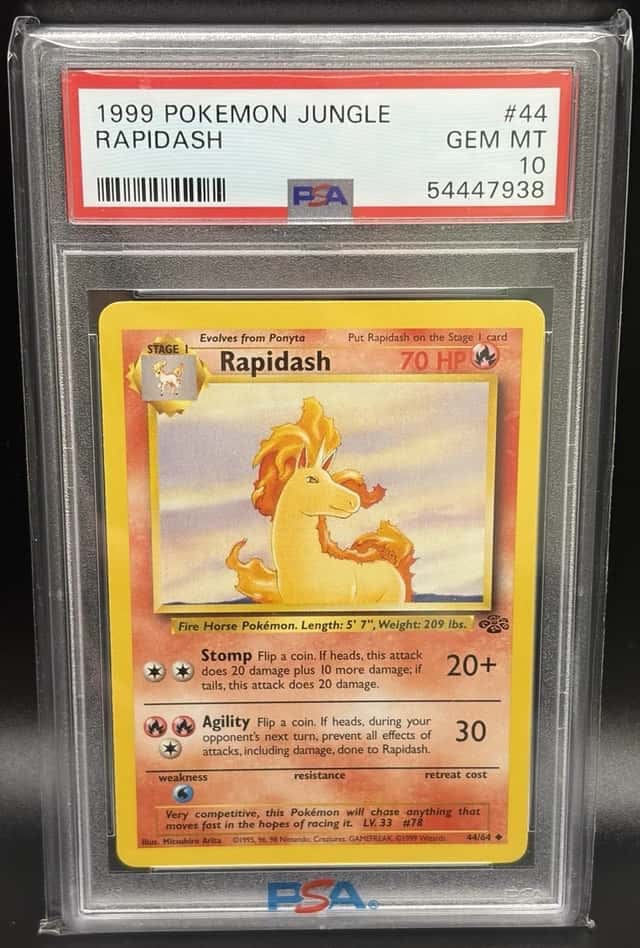 Rapidash