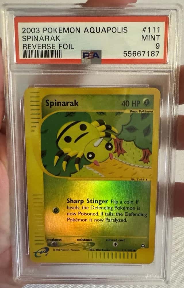 Spinarak
