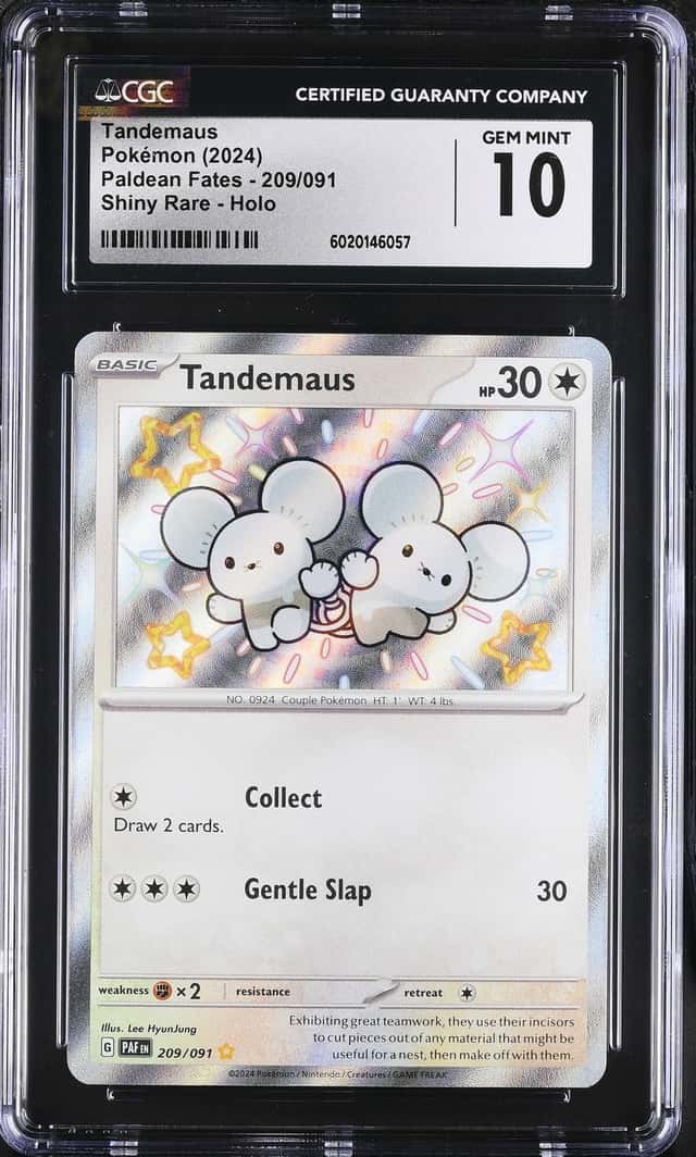 Tandemaus