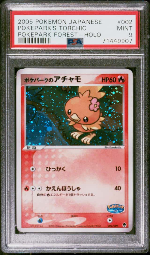 Pokepark's Torchic