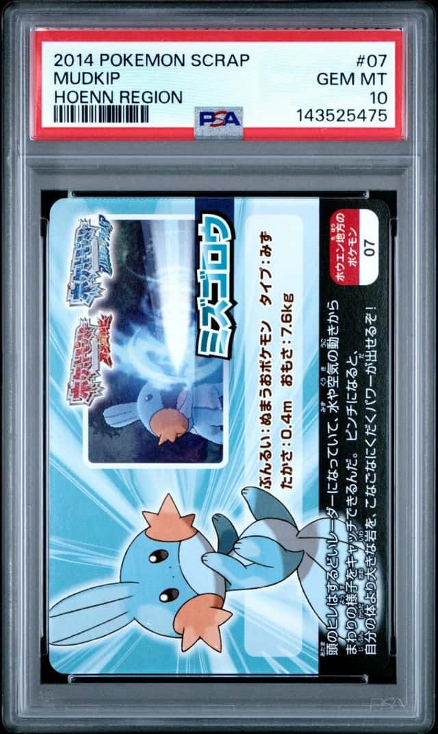 Mudkip
