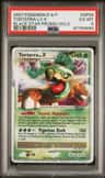 Torterra Lv.x
