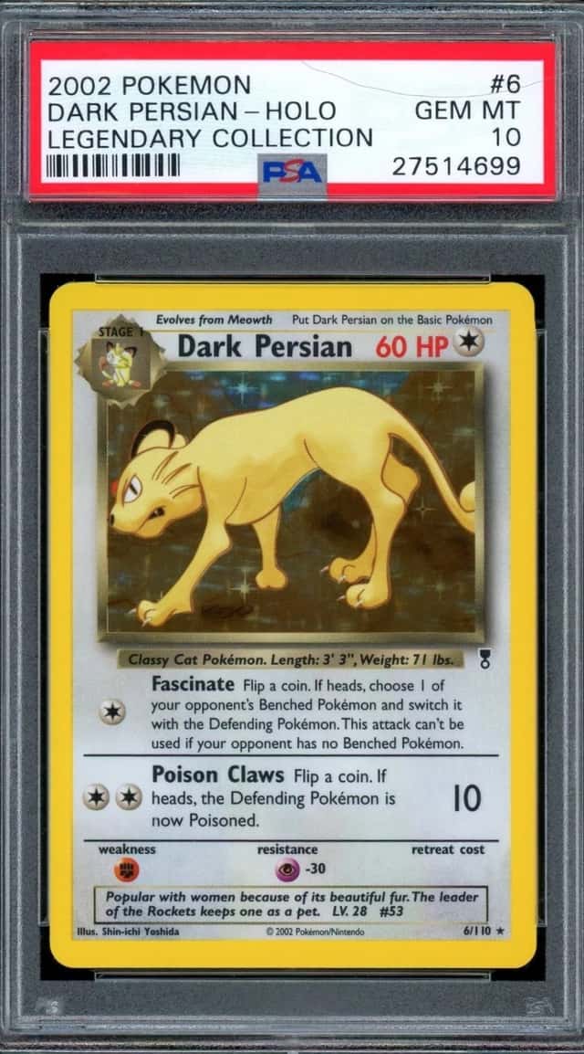 Dark Persian