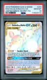 Raichu & Alolan Raichu Gx