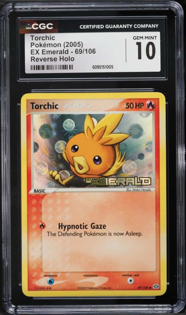 Torchic