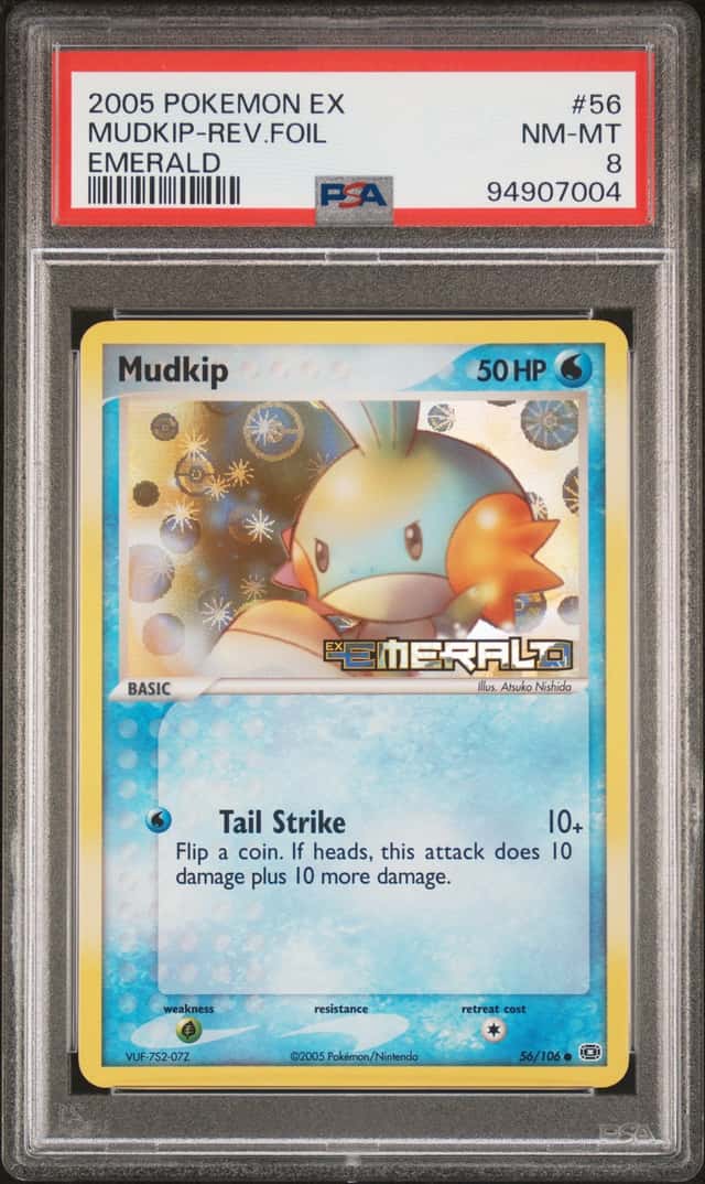 Mudkip
