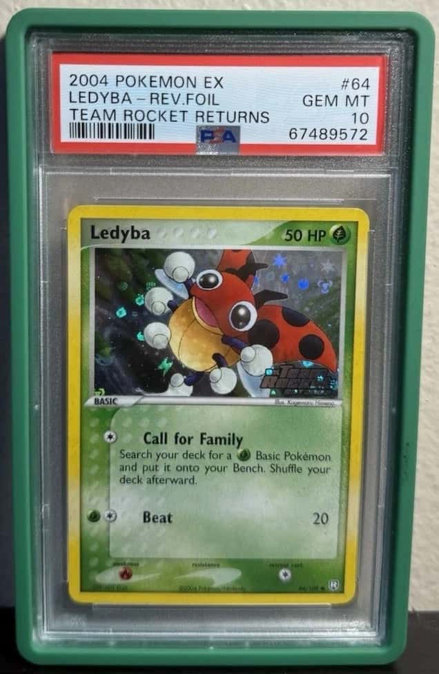 Ledyba