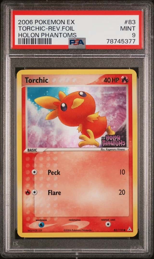 Torchic
