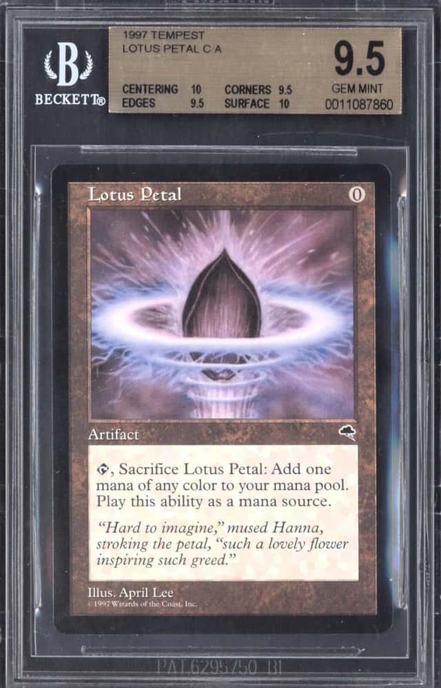 Lotus Petal