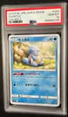 Squirtle