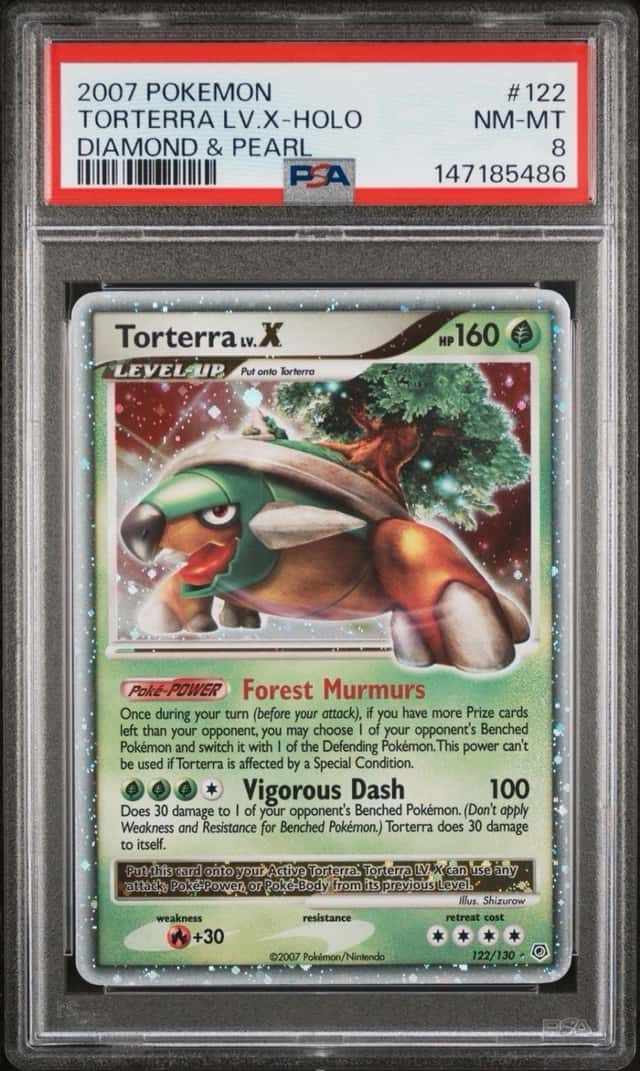 TORTERRA LV.X
