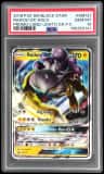 Raikou Gx