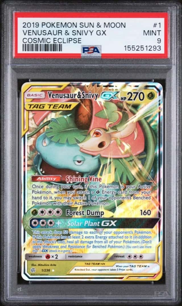Venusaur & Snivy GX