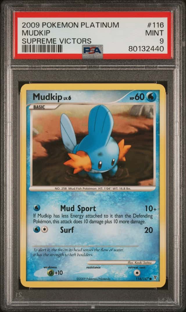 Mudkip