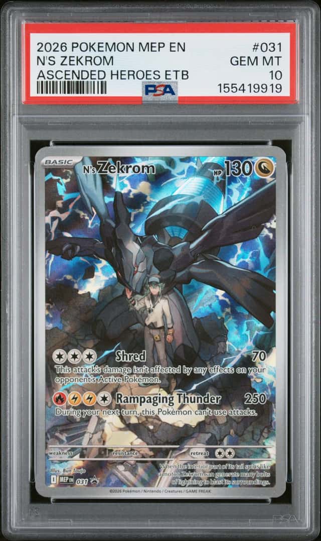 N's Zekrom