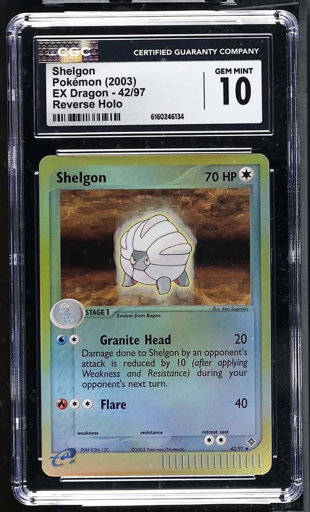 Shelon Dragon