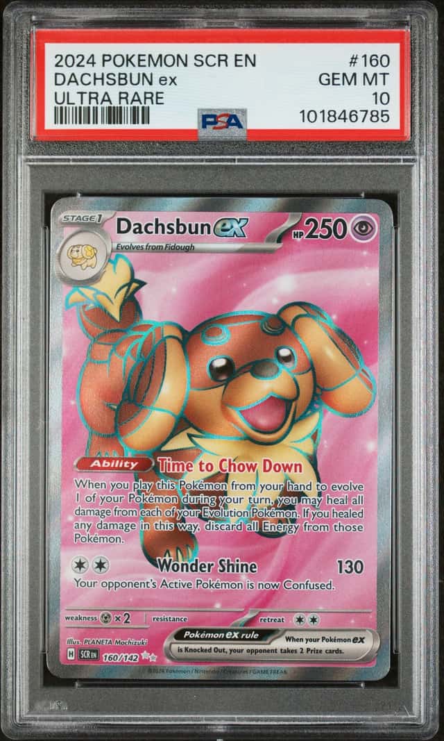 DACHSBUN ex
