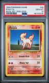 Ponyta
