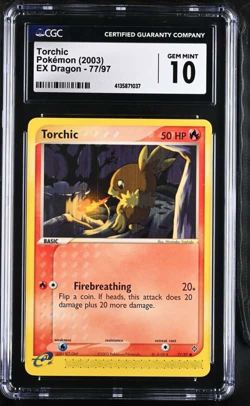 Torchic