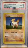 Ponyta