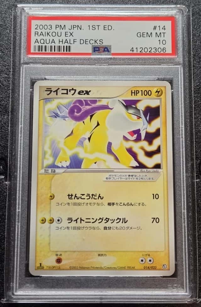 Raikou EX