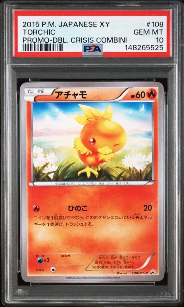 Torchic