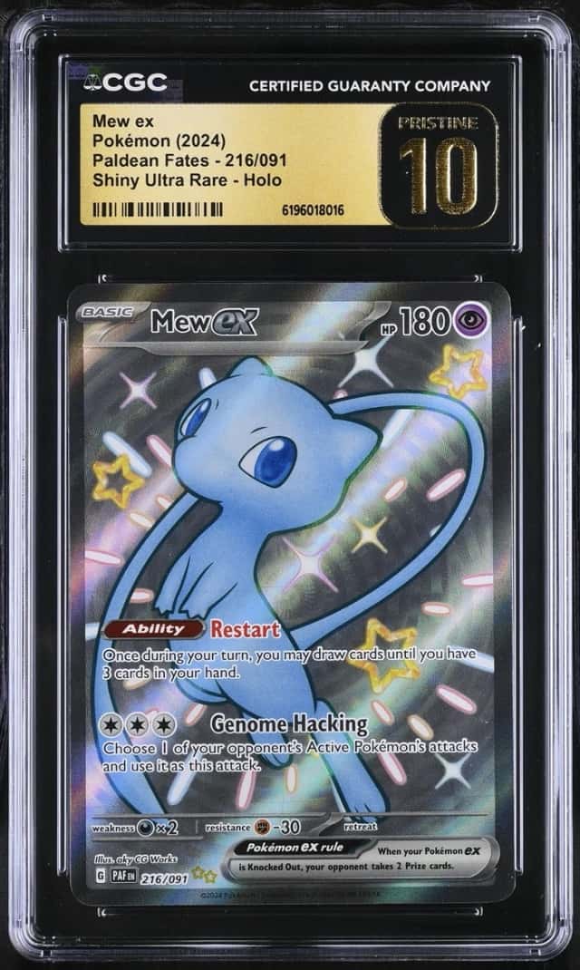 MEW ex