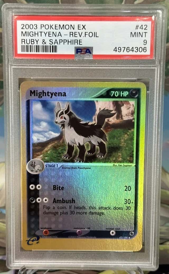 Mightyena