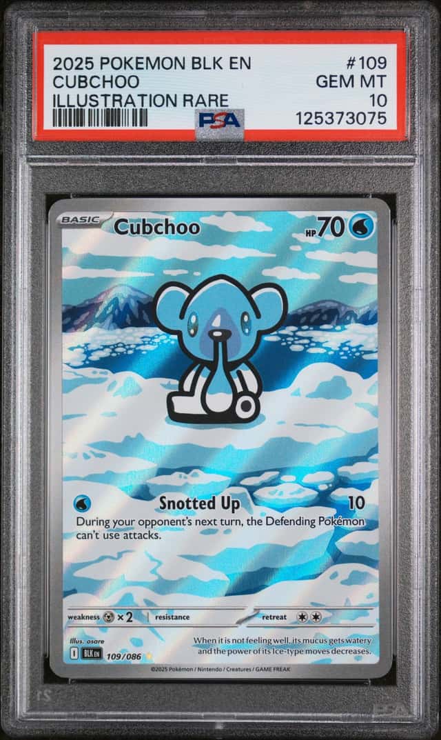 Cubchoo