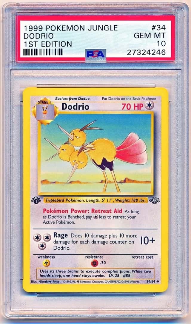 Dodrio