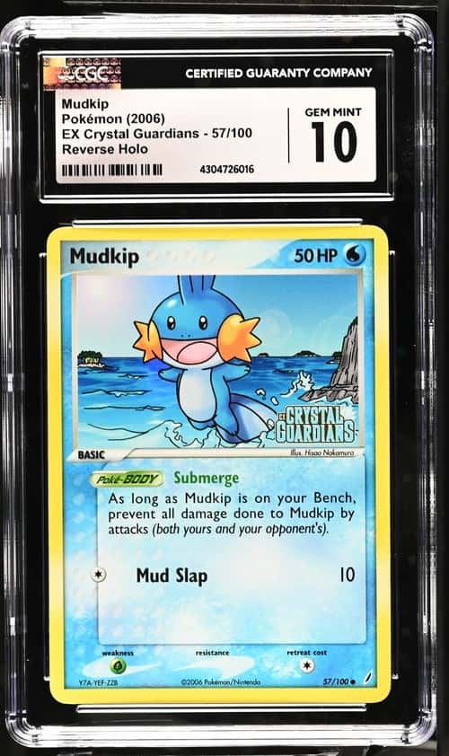 Mudkip