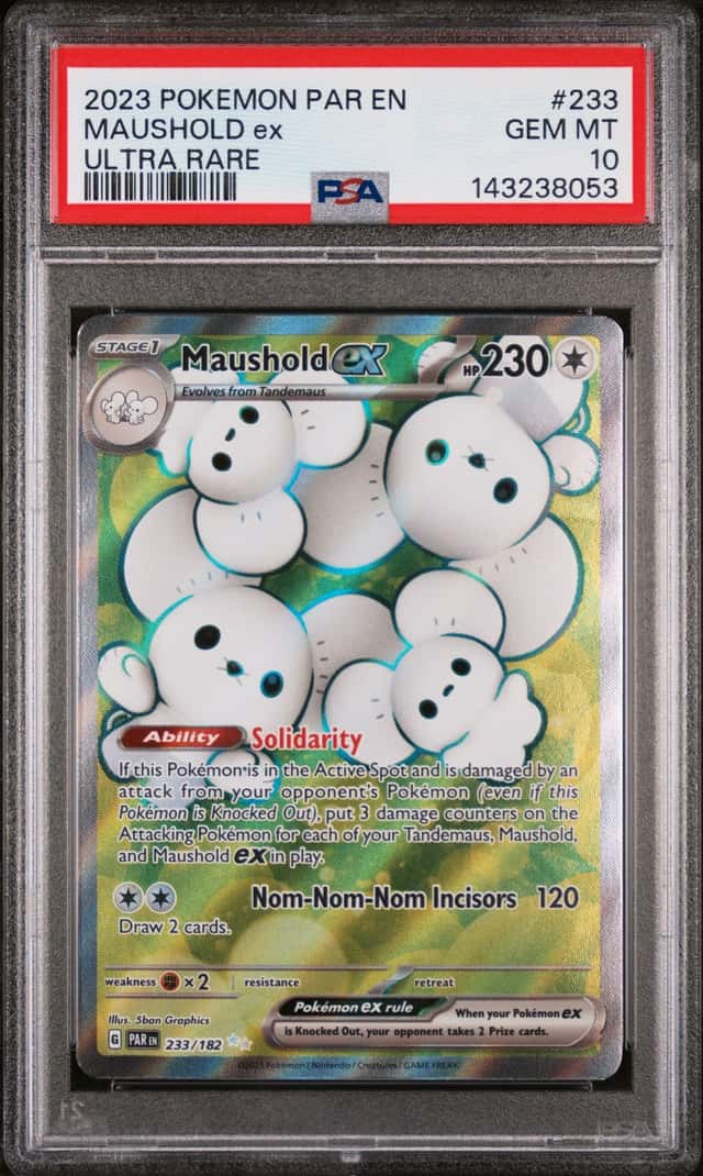 MAUSHOLD ex