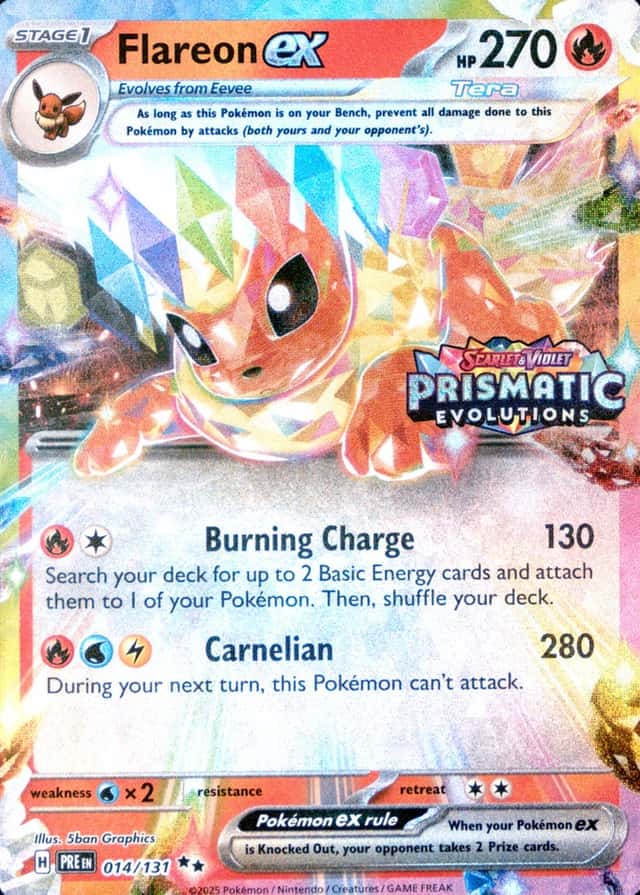 Holo · Box Exclusive Surprise