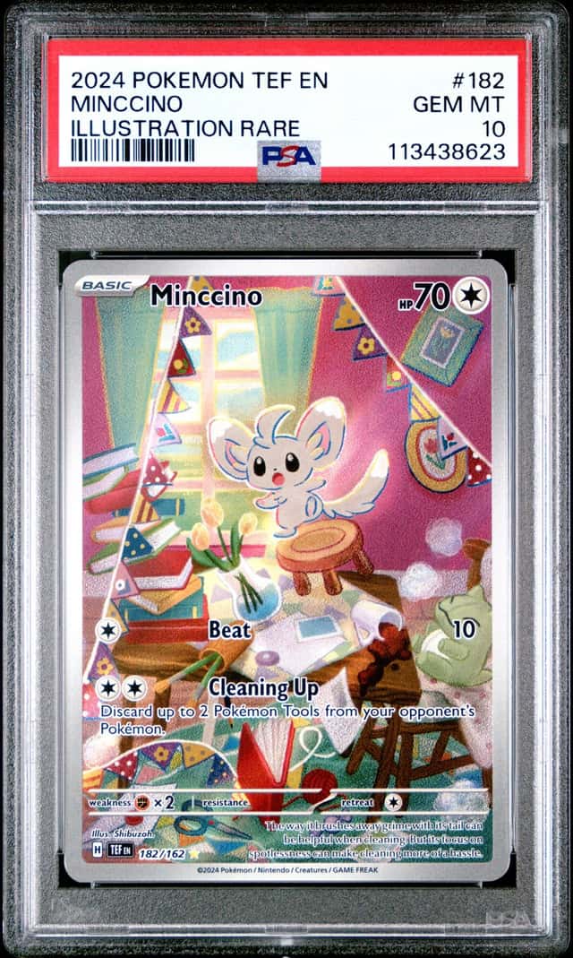 Minccino