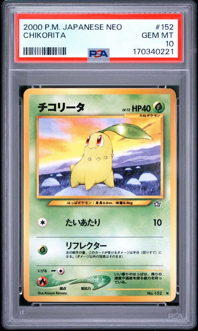 Chikorita