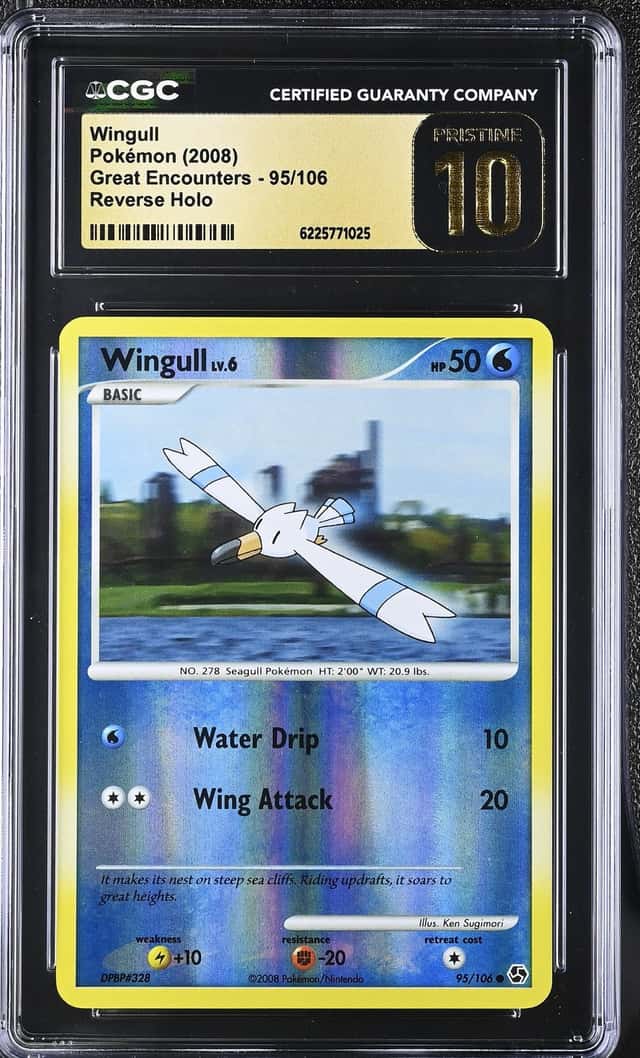 Wingull