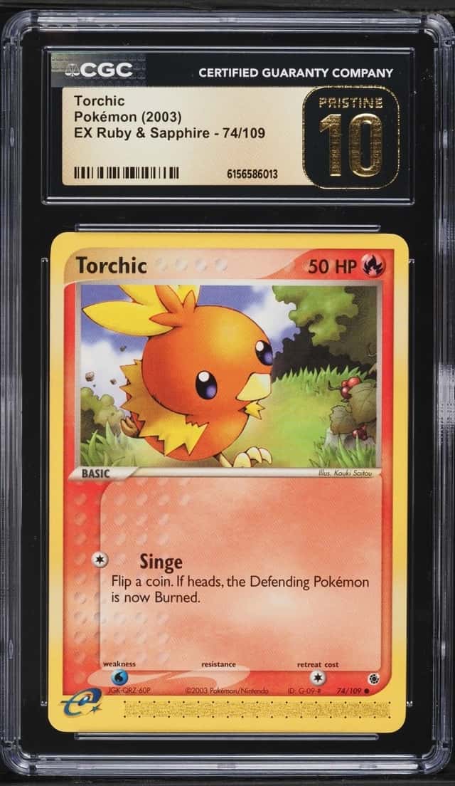 Torchic