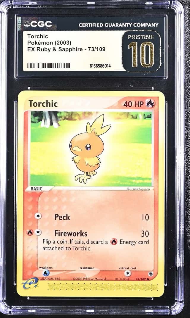 Torchic