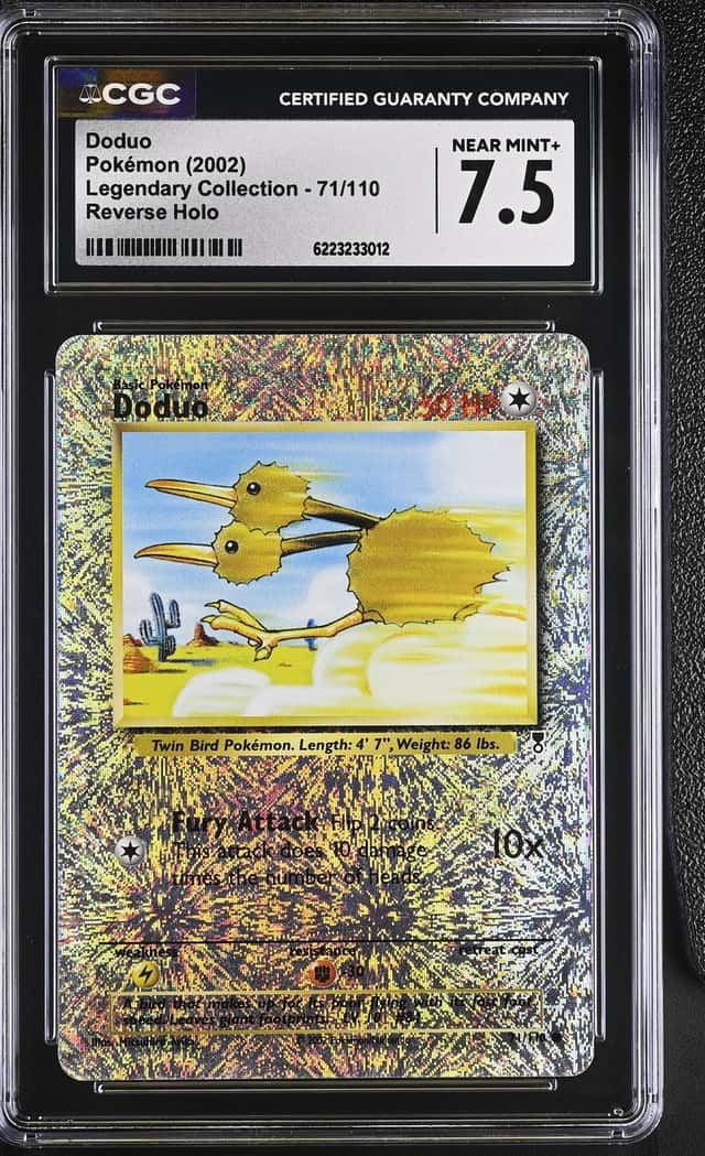 Doduo