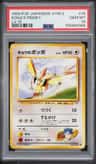 Koga'S Pidgey
